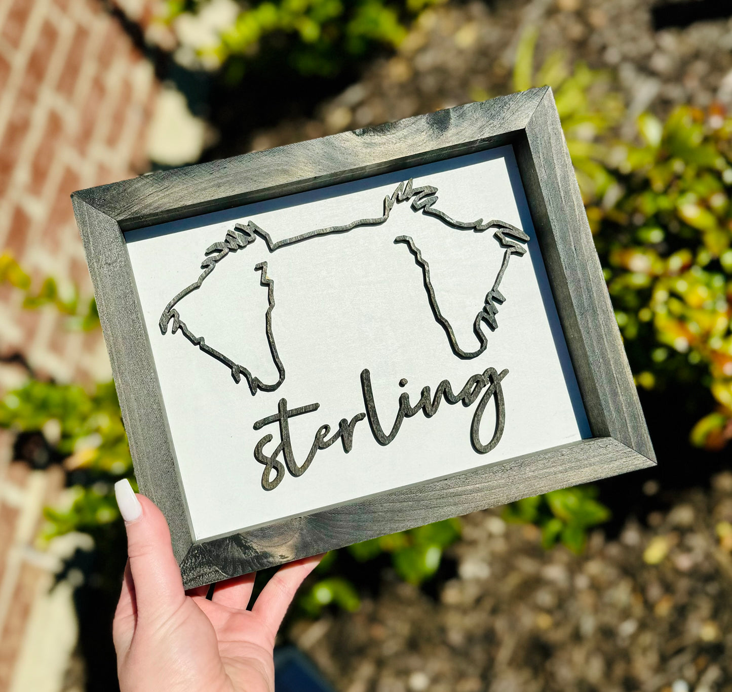 3D Pet Portrait Sign